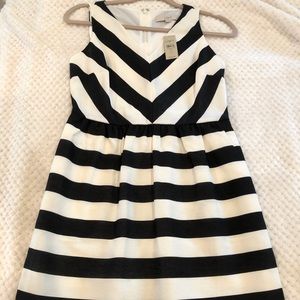 NWT Loft Dress size 4P